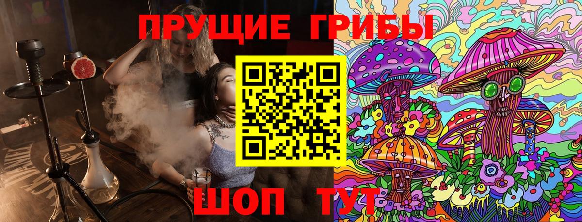 Псилоцибиновые грибы Psilocybe  Вход с VPN  Северск 